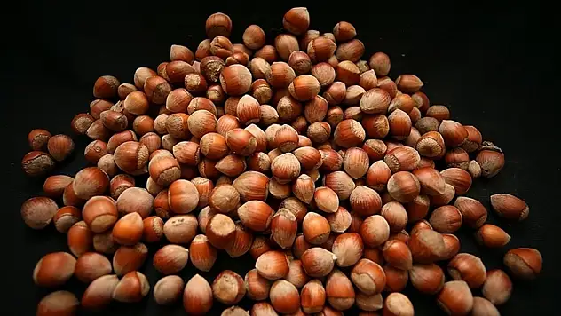 1,2 milyar dolara yakın gelir