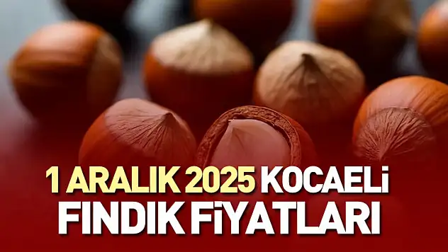 1 Aralık 2025 Kocaeli Fındık Fiyatları | Kalite Yarışı Piyasayı Yukarı Çekiyor