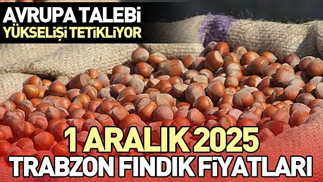 1 Aralık 2025 Trabzon Fındık Fiyatları