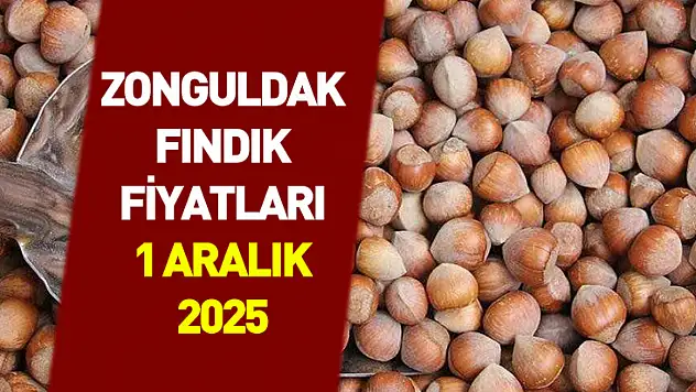 1 Aralık 2025 Zonguldak Fındık Fiyatları | Dar Bantta Tırmanış Devam Ediyor