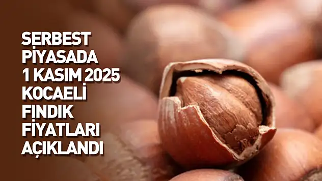 1 Kasım 2025 Kocaeli Fındık Fiyatları Açıklandı: Serbest Piyasada Son Durum!