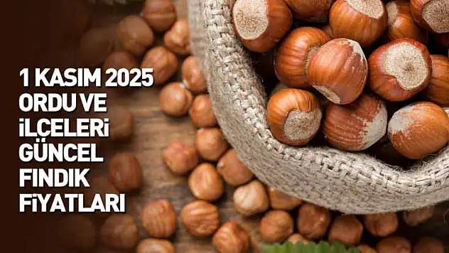 1 Kasım 2025 Ordu Güncel Fındık Fiyatları: Kasım Ayına Güçlü Başlangıç! Fiyatlar 350 TL'ye Yaklaştı