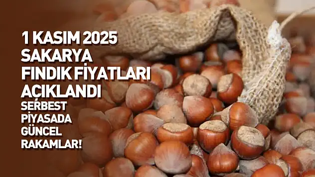 1 Kasım 2025 Sakarya Fındık Fiyatları Açıklandı: Serbest Piyasada Güncel Rakamlar!