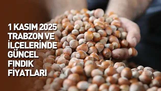 1 Kasım 2025 Trabzon ve İlçelerinde Güncel Fındık Fiyatları