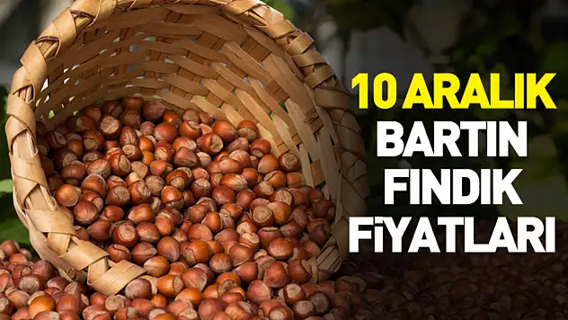 10 Aralık Bartın Fındık Fiyatları | Piyasa Dar Bantta İlerliyor