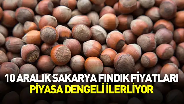 10 Aralık Sakarya Fındık Fiyatları | Piyasa Dengeli İlerliyor