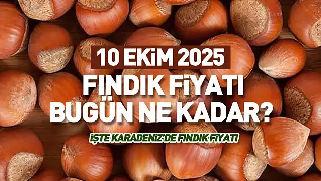10 Ekim 2025 Fındık Fiyatları Güncellendi