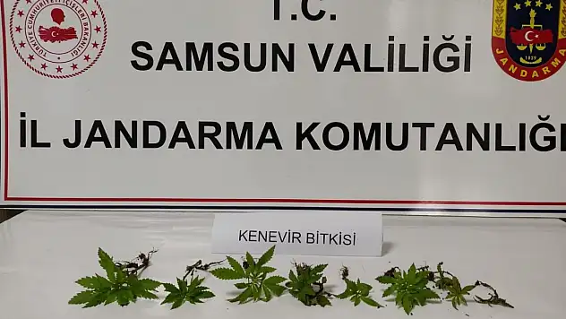 Çarşamba'da uyuşturucu operasyonunda 1 zanlı yakalandı