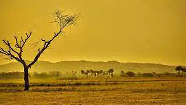 Küresel yüzey sıcaklığı 1970'den bu yana daha hızlı yükseliyor