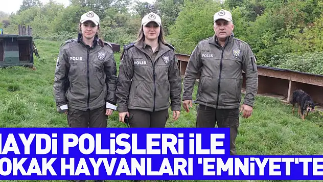 HAYDİ polisleri ile sokak hayvanları 'emniyet'te