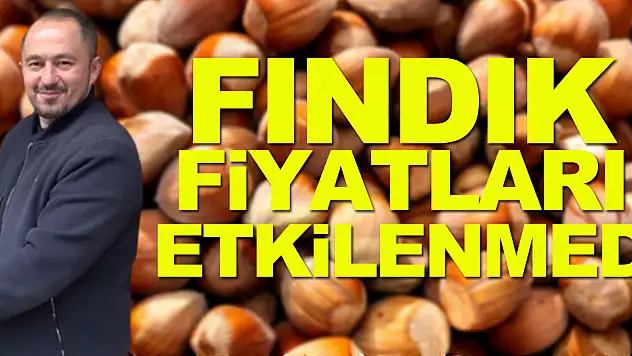 Seçim süreci fındık fiyatını etkilemedi