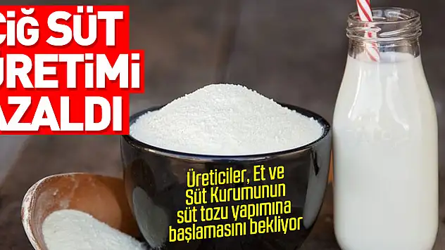 Üreticiler, Et ve Süt Kurumunun süt tozu yapımına başlamasını bekliyor