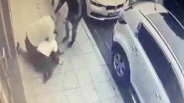 Dehşet anları kamerada: Müşterileri rahatsız edip para isteyen genci önce dövdü, sonra vurdu