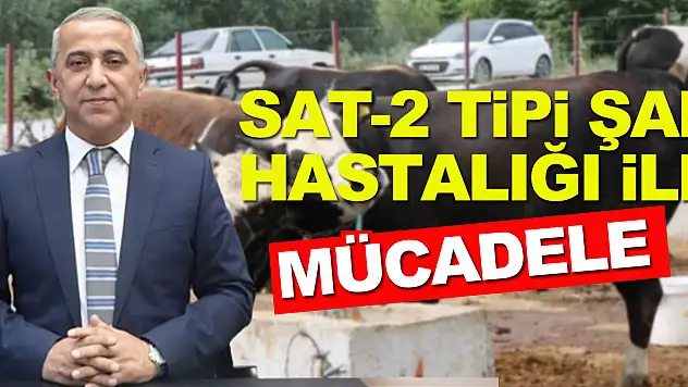 Samsun'da SAT-2 tipi şap hastalığı ile mücadele