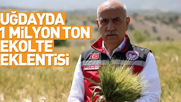 Bakan Kirişci: Buğdayda beklenen 21 milyon ton rekolte Türkiye'nin ihtiyacının karşılanması noktasında yeterli