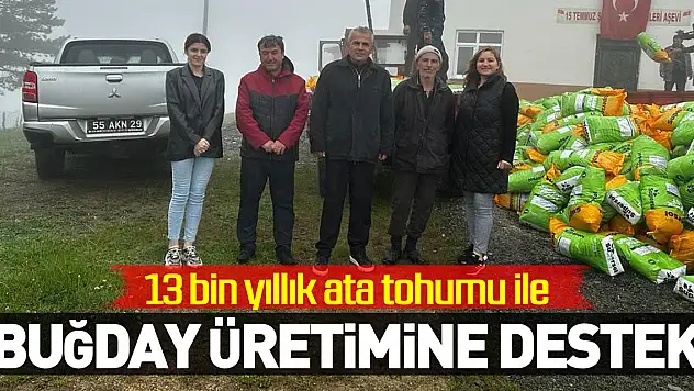 13 bin yıllık ata tohumu ile buğday üretimine destek