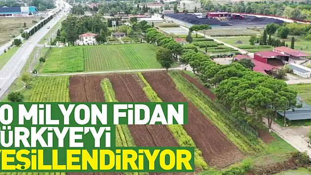 Samsun'da üretilen 134 türden 10 milyon fidan Türkiye'yi yeşillendiriyor
