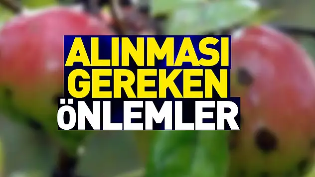 Elma, armut ve şeftali üreticilerinin alması gereken acil önlemler