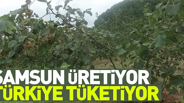 Sebze ve meyveyi Samsun üretiyor, Türkiye tüketiyor