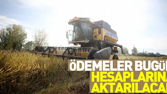 Tarımsal destekleme ödemeleri bugün çiftçilerin hesaplarına aktarılacak