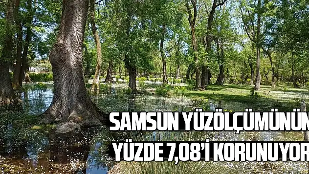 Samsun yüzölçümünün yüzde 7,08'i korunuyor