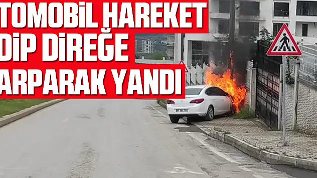 Park halindeki otomobil hareket edip direğe çarparak yandı