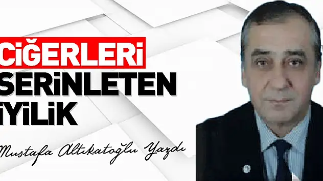 CİĞERLERİ SERİNLETEN İYİLİK