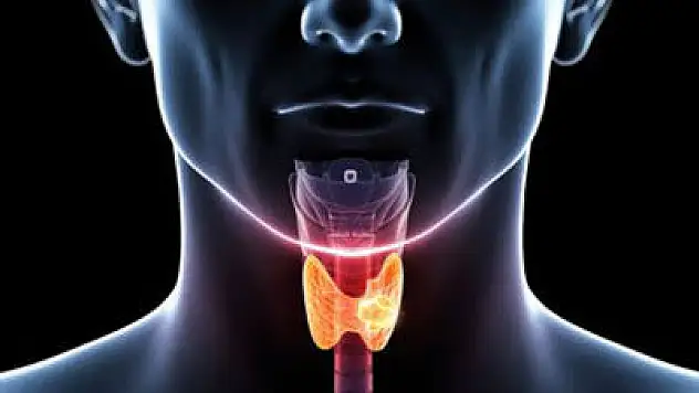 Ailesinde tiroit ve diyabet öyküsü olanlar dikkat