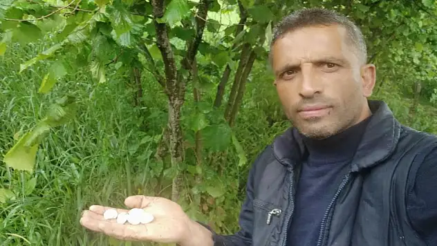 Ordu'da fındık bahçelerini ceviz büyüklüğünde dolu vurdu