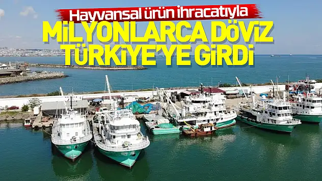Hayvansal ürün ihracatıyla milyonlarca döviz Türkiye'ye girdi