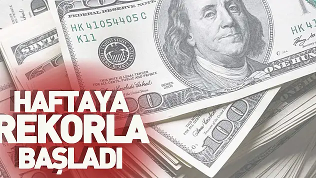Dolar/TL haftaya rekorla başladı: 21,15