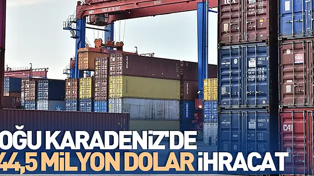 Doğu Karadeniz'den 5 ayda yapılan ihracat 644,5 milyon doları aştı