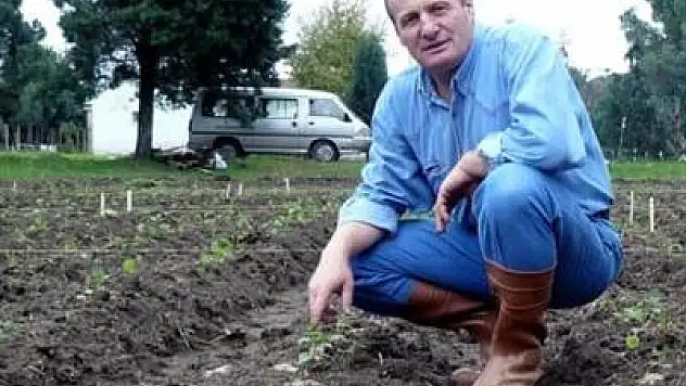 Pamuğun yerini ısırgan otu alacak