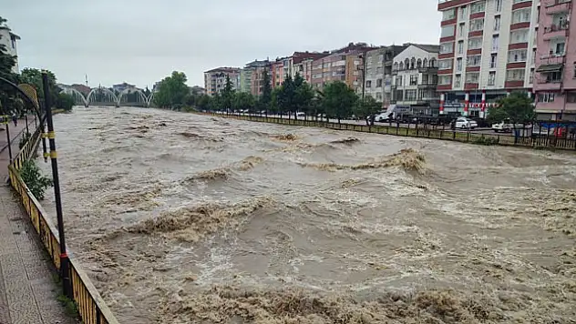 Terme Çayı'nda korkutan görüntü