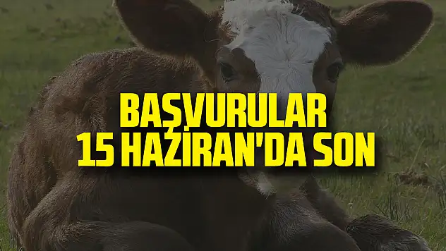 Başvurular 15 Haziran'da Son