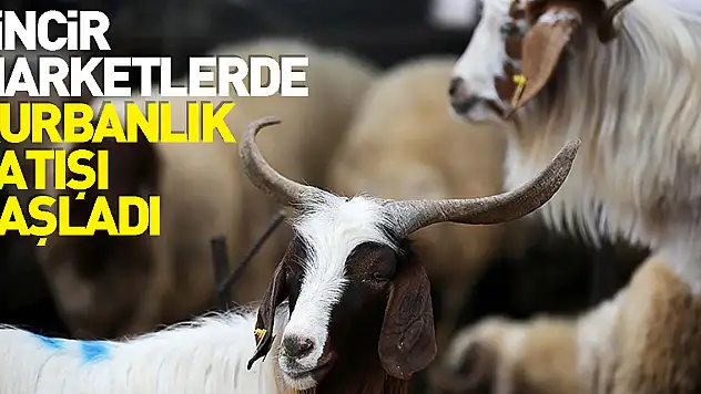 Zincir marketlerde kurbanlık satışı başladı