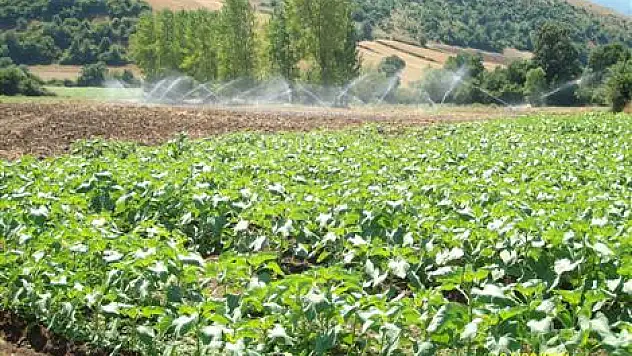 550 hektar sulama sistemine kavuştu