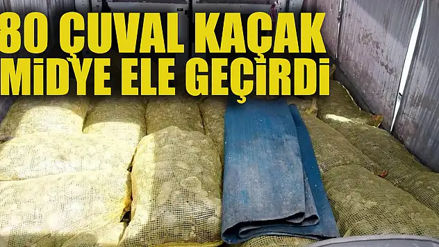 Samsun'da deniz polisi 80 çuval kaçak midye ele geçirdi