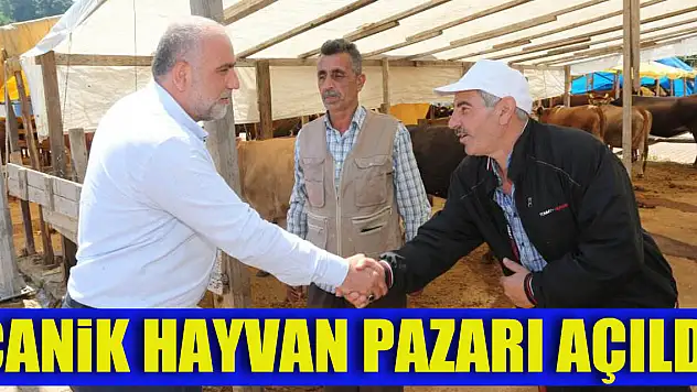 Canik Hayvan Pazarı açıldı: Küpesiz ve pasaportsuz kurbanlıklar alınmıyor