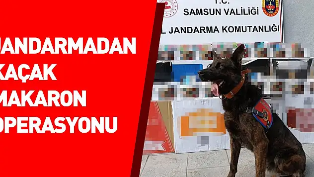 Samsun'da jandarmadan kaçak makaron operasyonu
