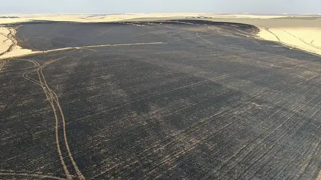 Sigara izmariti 700 dönümlük tarlayı küle çevirdi