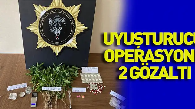 Samsun'da uyuşturucu operasyonu: 2 gözaltı