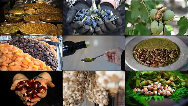 Türkiye'nin AB onaylı coğrafi işaretlerinde gözler ihracata odaklandı