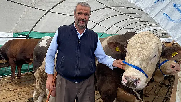 Kurban pazarında satışlar hızla devam ediyor