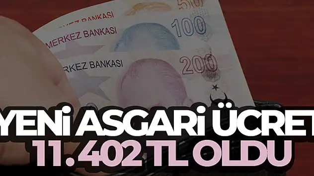 Yeni asgari ücret 11.402 TL oldu