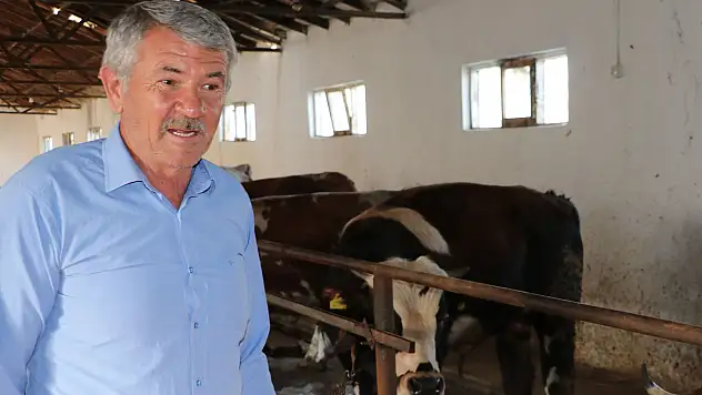 Havza Ziraat Odası Başkanı Genç'ten Kurban Bayramı öncesi uyarı damızlık dişi uyarısı