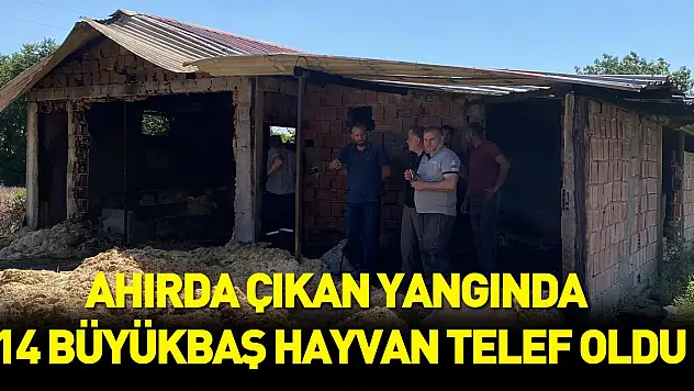 Ahırda çıkan yangında 14 büyükbaş hayvan telef oldu