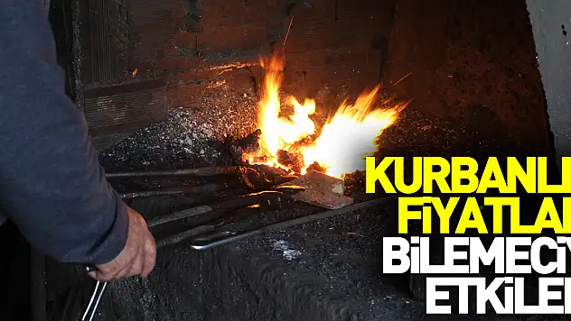 Kurbanlık fiyatları, bilemeciyi etkiledi