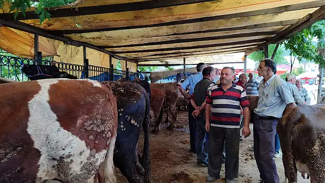 Salıpazarı'nda kurbanlıklar sahiplerini bekliyor