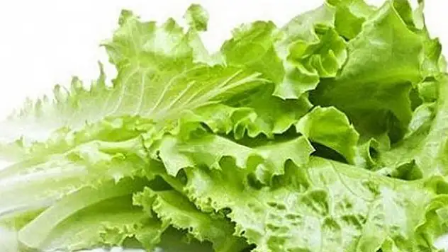 İstanbul'da Haziran ayında en çok kıvırcık salata pahalandı